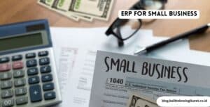 ERP for Small Business