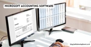 Microsoft Accounting Software